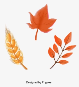 Cartoon Orange Leaf Png, Transparent Png, Transparent PNG