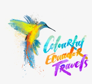 Colorful Ecuador Travels, HD Png Download, Transparent PNG