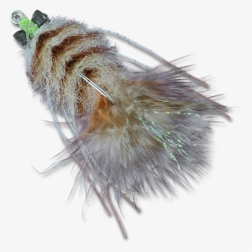 Clip Art Lophocampa Maculata - Caterpillar, HD Png Download, Transparent PNG