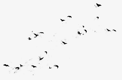 Flying Birds Design Large - Flock, HD Png Download, Transparent PNG