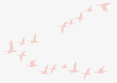 Flock Of Geese, HD Png Download, Transparent PNG