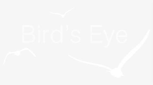 Bird S Eye, HD Png Download, Transparent PNG