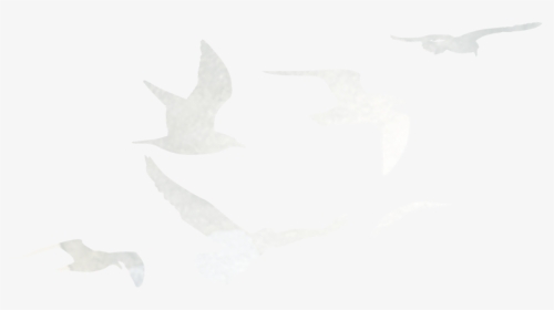 Download Png Transparent Background Fire Embers Png Pics
