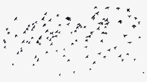 Birds And Overlay Image - Migrating Birds Creative Commons, HD Png Download, Transparent PNG