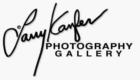 Larry Kanfer Photography Gallery - Larry Kanfer, HD Png Download, Transparent PNG