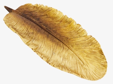 Gold Feather Png - Oval, Transparent Png, Transparent PNG