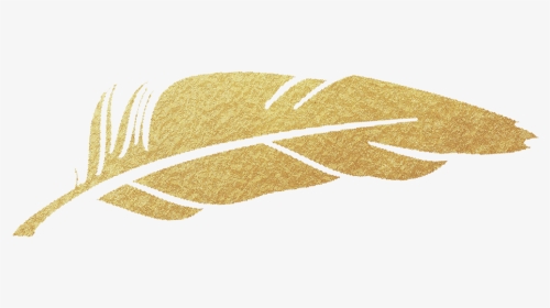 Gold Feather Png - Gold Feather Clipart Transparent, Png Download, Transparent PNG