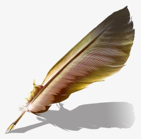Transparent Quill And Ink Png - Feather Ink Pen Transparent, Png Download, Transparent PNG