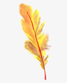 #feather #feathers #ftestickers - Larix Lyalliisubalpine Larch, HD Png Download, Transparent PNG