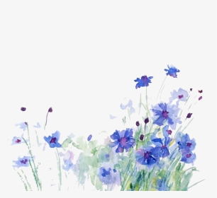 Cornflower Drawing Watercolor - Cornflower Png, Transparent Png, Transparent PNG