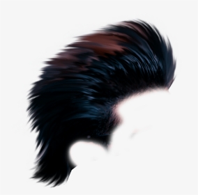 New Stylish Hair Png, Transparent Png, Transparent PNG