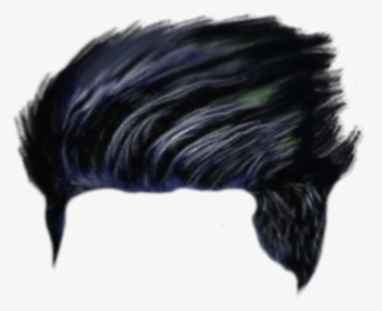 Hair Png, Hair Png Cb, Picsart Hair Png, Cb Hair Png, - Flightless Bird, Transparent Png, Transparent PNG