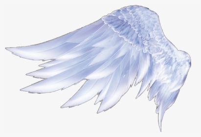 Angel Wings Angel Wings Feather - Angel Wings From The Side, HD Png Download, Transparent PNG