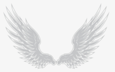 Transparent Angels Wings Png - Imagen De Alas Png, Png Download, Transparent PNG
