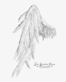 Wing White , Png Download - Wing White, Transparent Png, Transparent PNG