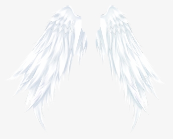 #wings #angelwings #angel #ftestickers - Angel, HD Png Download, Transparent PNG