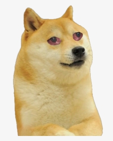 Shiba Inu Dog Mammal Vertebrate Canidae Dog Breed Canaan - Vibe Check Doge Meme, HD Png Download, Transparent PNG
