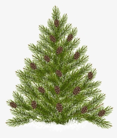Pine Tree With Cones Transparent Png Clip Art, Png Download, Transparent PNG