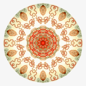 Orange,circle,symmetry - Circle, HD Png Download, Transparent PNG