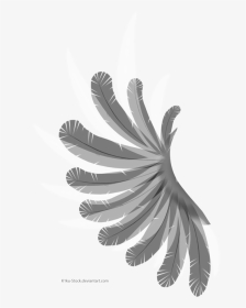 Wing Black And White Feather Bird - Wing With Transparent Background, HD Png Download, Transparent PNG
