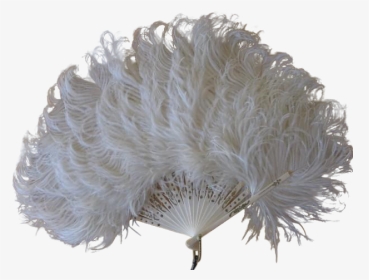 Transparent Feathers Vintage - White Feather Fans Png Transparent, Png Download, Transparent PNG
