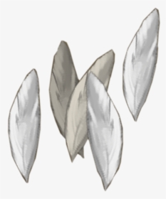 Transparent Feathers Silver - Magnolia, HD Png Download, Transparent PNG