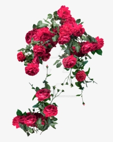 Rose Vines Png - Watercolor Red Flower Png, Transparent Png, Transparent PNG