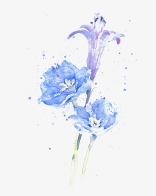 Delphinium Drawing Watercolor - Water Paint Plant Png, Transparent Png, Transparent PNG
