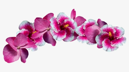 #corwn #tiara #flower #flowers #flowercrown #flowerscrown - Moth Orchid, HD Png Download, Transparent PNG