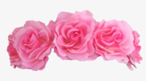 #pink #flowers #flowercrown #crown #accessories 🌸 - Pink Flower Crown Png, Transparent Png, Transparent PNG