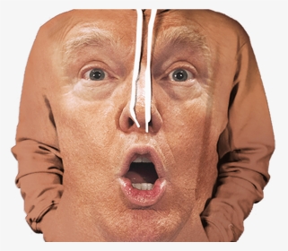 Donald Trump Shocked Face Hoodie All Over Print Apparel - My Great And Unmatched Wisdom Wizard Of Oz, HD Png Download, Transparent PNG