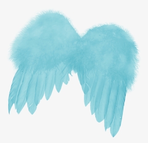 Feather Angels Angel Wing - Blue Feather Wings Angel Png, Transparent Png, Transparent PNG