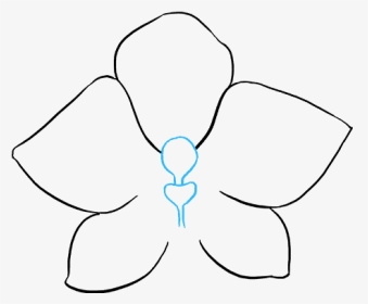 Drawing Transparent Orchid, HD Png Download, Transparent PNG