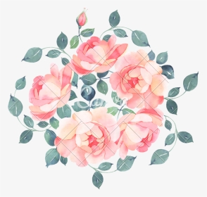Romantic Roses Watercolour B, HD Png Download, Transparent PNG