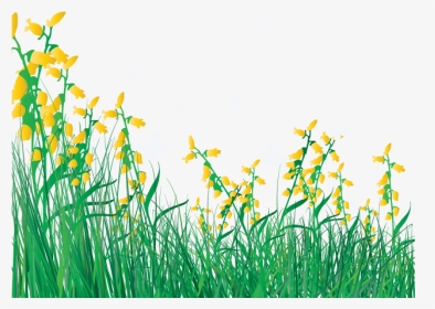 Lawn Vector Grass Flower - Cartoon Flowers And Grass, HD Png Download, Transparent PNG
