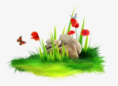 Picture Transparent Stock Long Grass Clipart - Real Grass Flower Png, Png Download, Transparent PNG