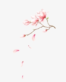 #rosa #petalas #flor #vetor #vector #galho #galhos - Flower Petal Falling, HD Png Download, Transparent PNG