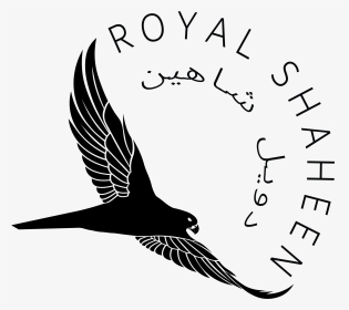 Shaheen Bird Logo, HD Png Download, Transparent PNG