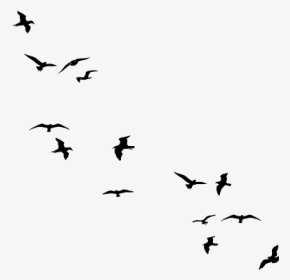 Flying Bird Outline Tumblr - Draw A Bird Silhouette, HD Png Download, Transparent PNG