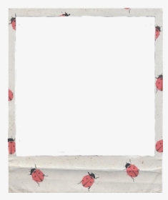 #polaroid #aesthetic #frame #ladybug - Garden Roses, HD Png Download, Transparent PNG