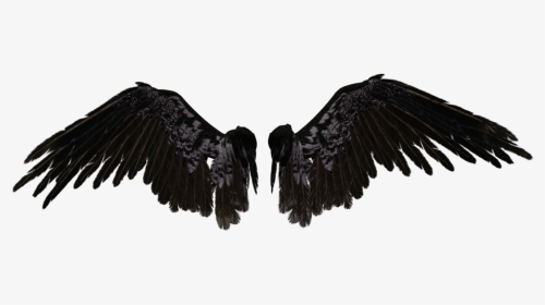 Black Angel Wings Png, Transparent Png, Transparent PNG