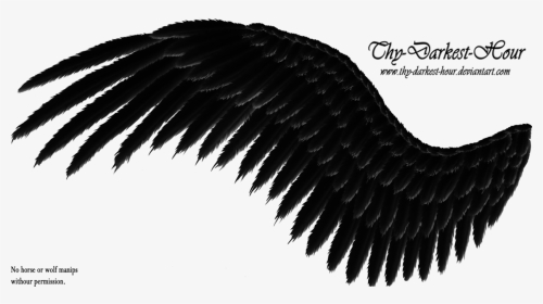 Search Results For “side View Angel Wings Png” Calendar - Black Wings Transparent Background, Png Download, Transparent PNG