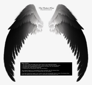 Fallen Angel Wing Png - Real Black Angel Wings, Transparent Png, Transparent PNG