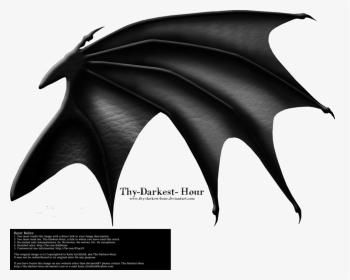 Dragon Wing Png - Transparent Black Dragon Wings, Png Download, Transparent PNG