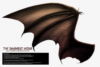 Dragon Wings Side View, HD Png Download, Transparent PNG