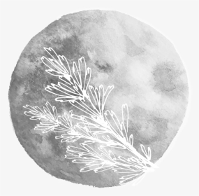 Sage Moon - Christmas Tree, HD Png Download, Transparent PNG