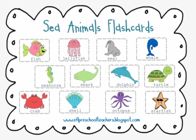 Animal Clipart Name Art And Sea The Collection - Sea Animals With Name, HD  Png Download , Transparent Png Image - PNGitem