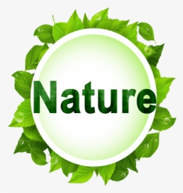 Vector Nature Png - Green Leaf Vector Png, Transparent Png, Transparent PNG