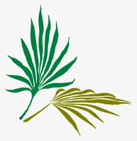 Palm Leaves Silhouette Png, Transparent Png, Transparent PNG