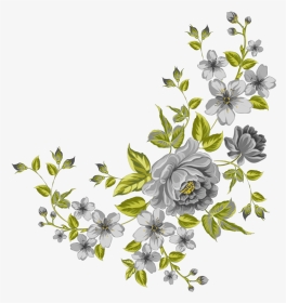 #mq #grey #green #flowers #garden #nature - Transparent Background Flower Clipart, HD Png Download, Transparent PNG